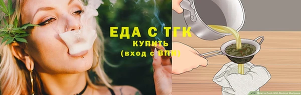 шишки Абаза