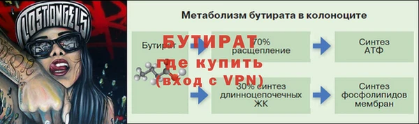 шишки Абаза