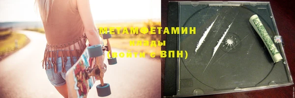 шишки Абаза