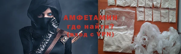 шишки Абаза