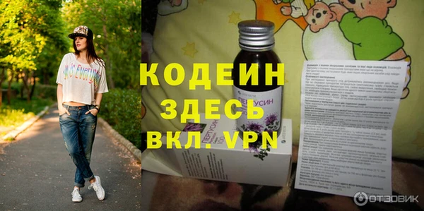 шишки Абаза