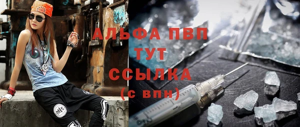 шишки Абаза
