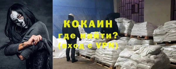 шишки Абаза