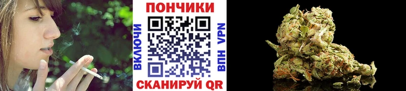 Бошки марихуана марихуана  Иноземцево 